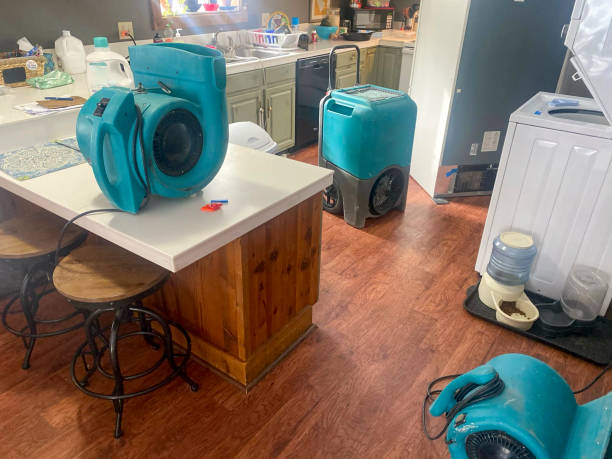 Best Local water damage restoration  in Westwood, MI