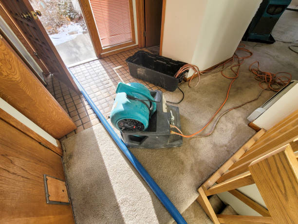 Best Sewage cleanup and water damage restoration  in Westwood, MI
