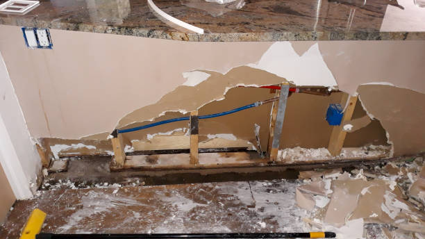 Best Basement water damage restoration  in Westwood, MI