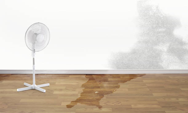 Best Emergency water damage restoration  in Westwood, MI