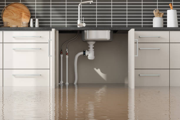 Best 24/7 water damage repair  in Westwood, MI