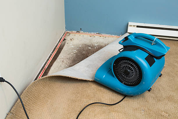 24/7 water damage repair in Westwood, MI